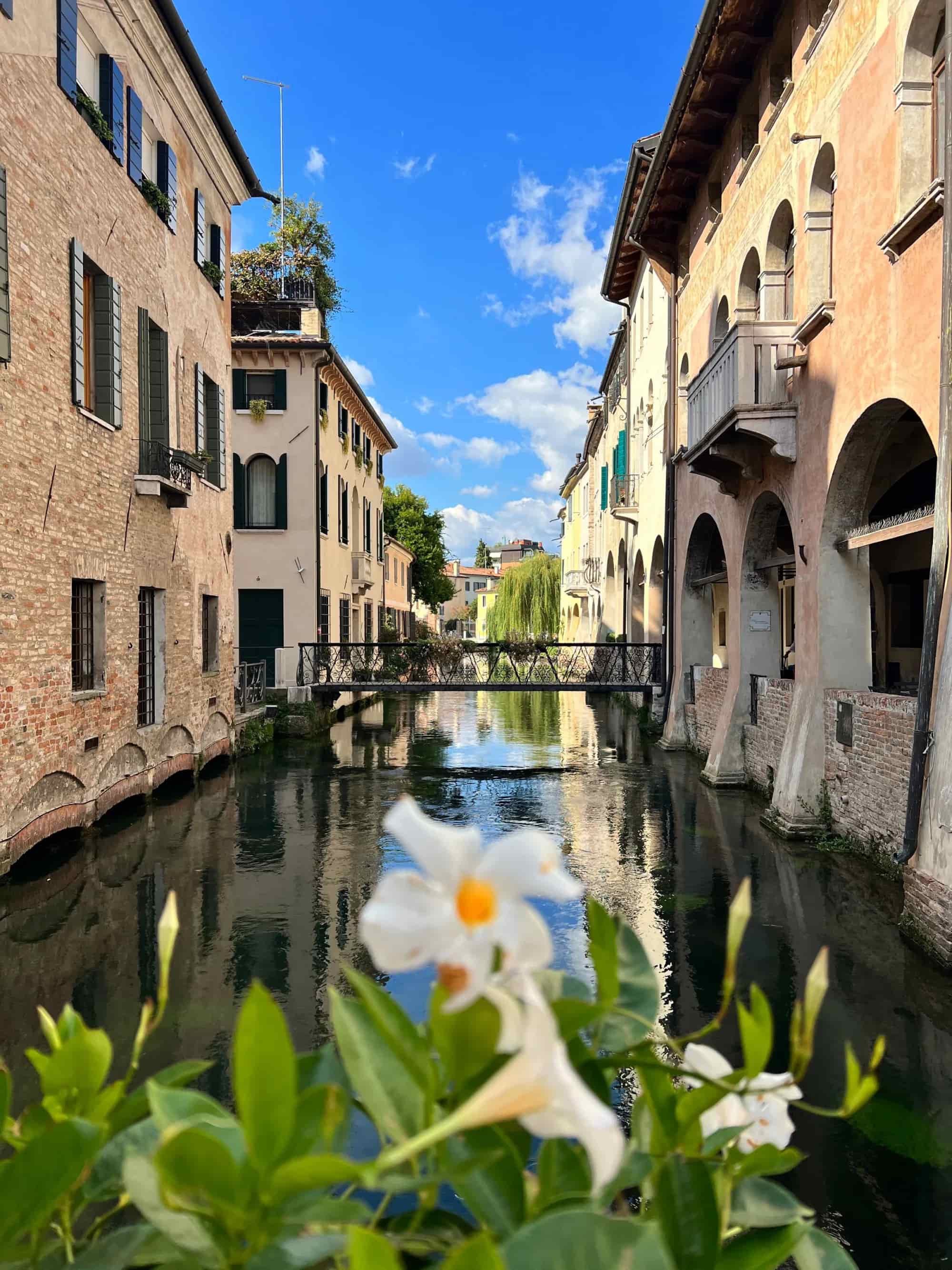Canali del centro storico di Treviso